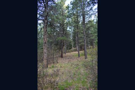 Vacant Lot for sale at W. Hwy 165, Rye, Colorado