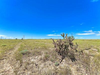 Vacant Lot for sale at Schmitt Rd, Rye, Colorado