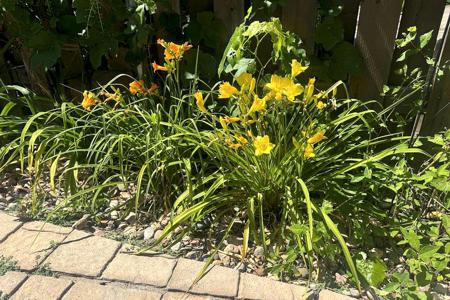 Residential Property for Sale in Pueblo, Colorado, Colorado