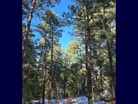 Vacant Lot for sale at Zorn Rd, Rye, Colorado