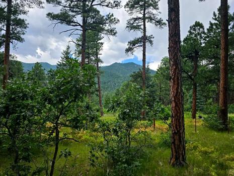 Vacant Lot for sale at Zorn Rd, Rye, Colorado