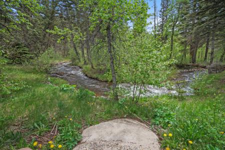 Home for Sale 25 Cottonwood Tr. La Veta, Colorado
