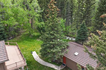 Home for Sale 25 Cottonwood Tr. La Veta, Colorado