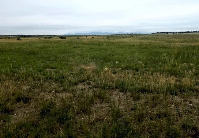 Vacant Lot for sale at Schmitt Rd, Rye, Colorado